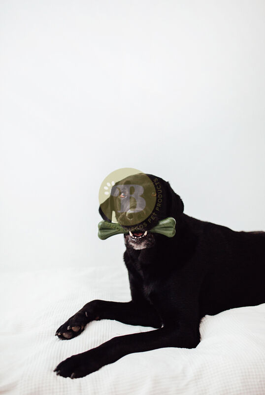 BIMORDISCOS PACK Juguete Indestructible para Perros + Cuerno de B&uacute;falo para Perros, , large Imagen numero 2