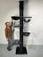 Rascador Maine Coon Tower Crown para gatos color Negro, , large indicador imagen numero 2
