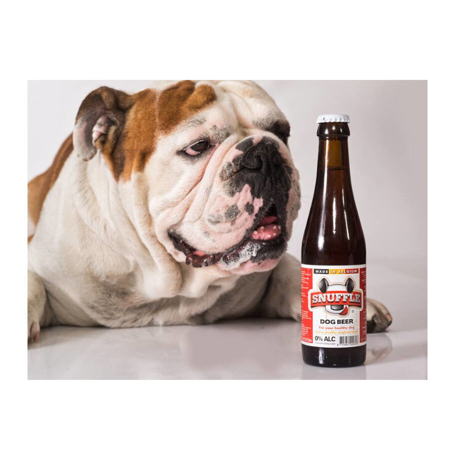 250 ml Snuffle Botella de Cerveza para perros, , large Imagen numero 2