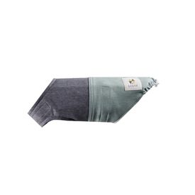 Goback Chubasquero Cantábrico verde y gris para perros
