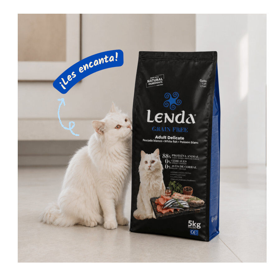 2 Kg Lenda Grain Free Pescado Blanco pienso para gatos, , large Imagen numero 5