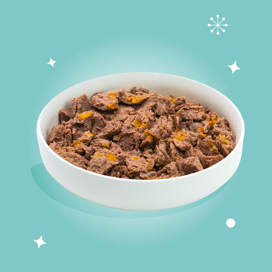 400 g Edgard & Cooper Festive Pavo en Pat&eacute; lata para perros, , large Imagen numero 3