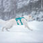 Non-stop Dogwear Arn&eacute;s Largo Azul y Verde para perros, , large indicador imagen numero 2