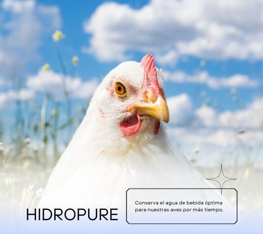 Finca Casarejo Hidropure acondicionador para el agua de los bebederos thumbnail