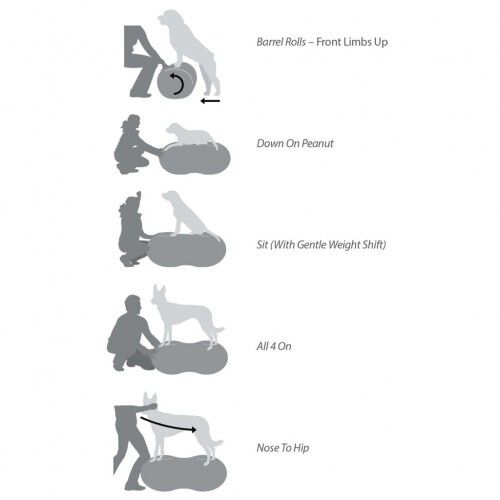 Plataforma de equilibrio para mascotas color Azul, , large Imagen numero 3