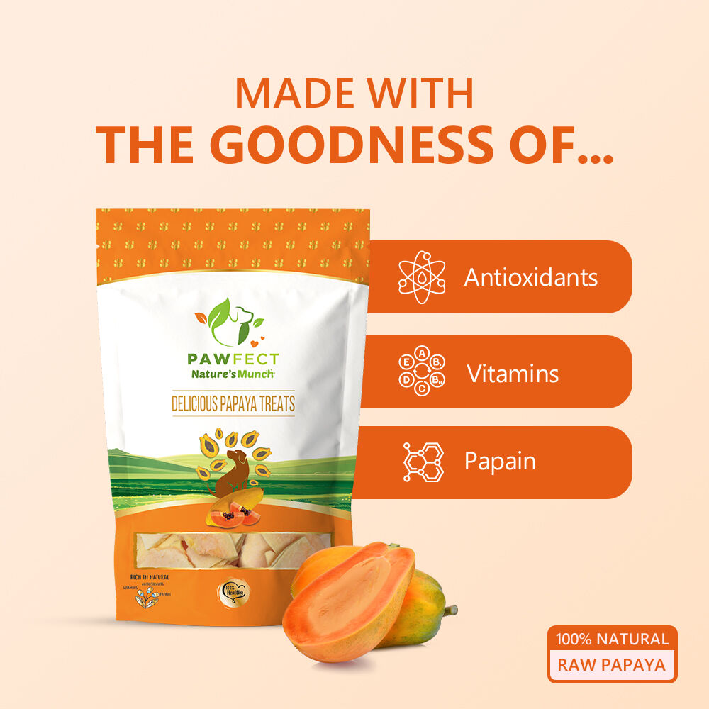 Delicias veganas de un solo ingrediente: papaya (40 g/1,41 oz), , large Imagen numero 4