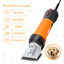 Nobleza 550W de pelo caballos máquina para esquiladora caballo cortar ovejas eléctrica cortadora maquina profesional Kit de belleza de ajuste de seis velocidades, , large indicador imagen numero 4