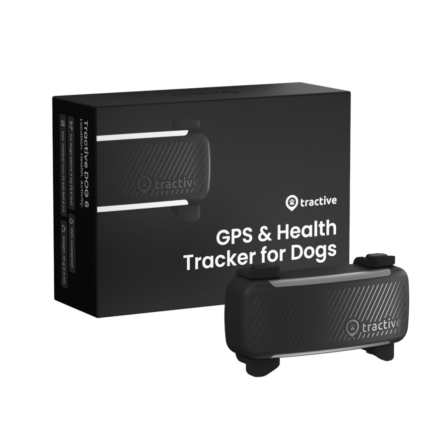 Tractive GPS Dog 6 Negro Rastreador para perros