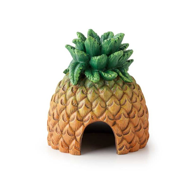 Exo Terra Cueva Piña para terrario