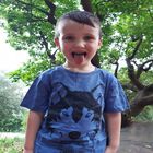 Camiseta niño/a lobo color Blanco, , large image number null