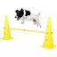 Equipo de agility para perros color Amarillo, , large indicador imagen numero 2