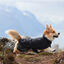 Non-stop dogwear Fjord Chubasquero Impermeable Negro para perros, , large indicador imagen numero 3