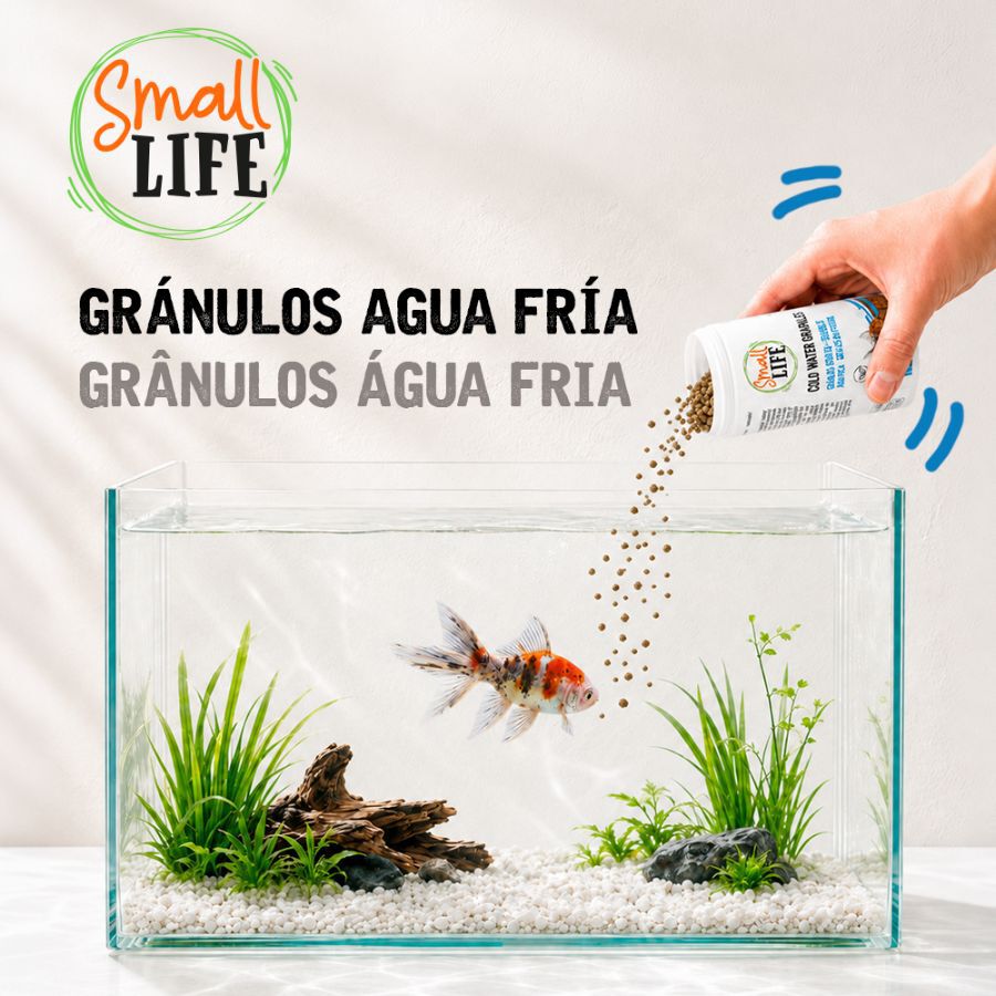 100 ml Small Life Gr&aacute;nulos Agua Fria Alimento para peces, , large Imagen numero 4