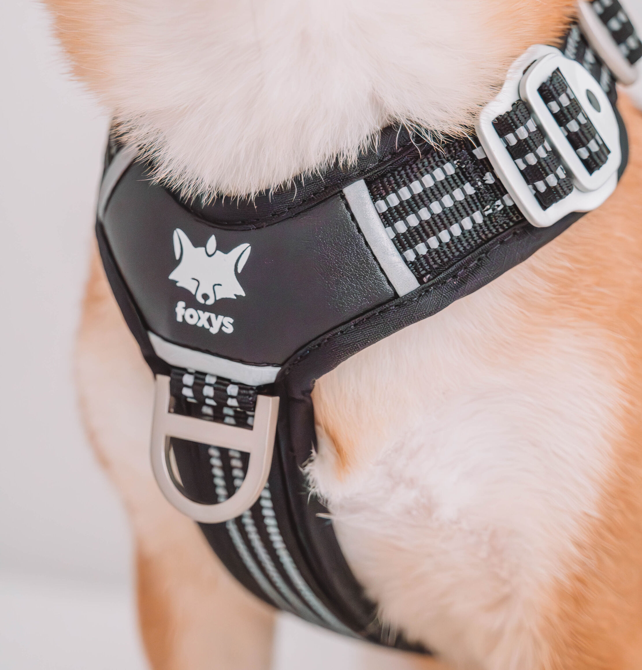 Arn&eacute;s Foxys Antitirones con hebillas aluminio reforzadas color Negro, , large Imagen numero 5