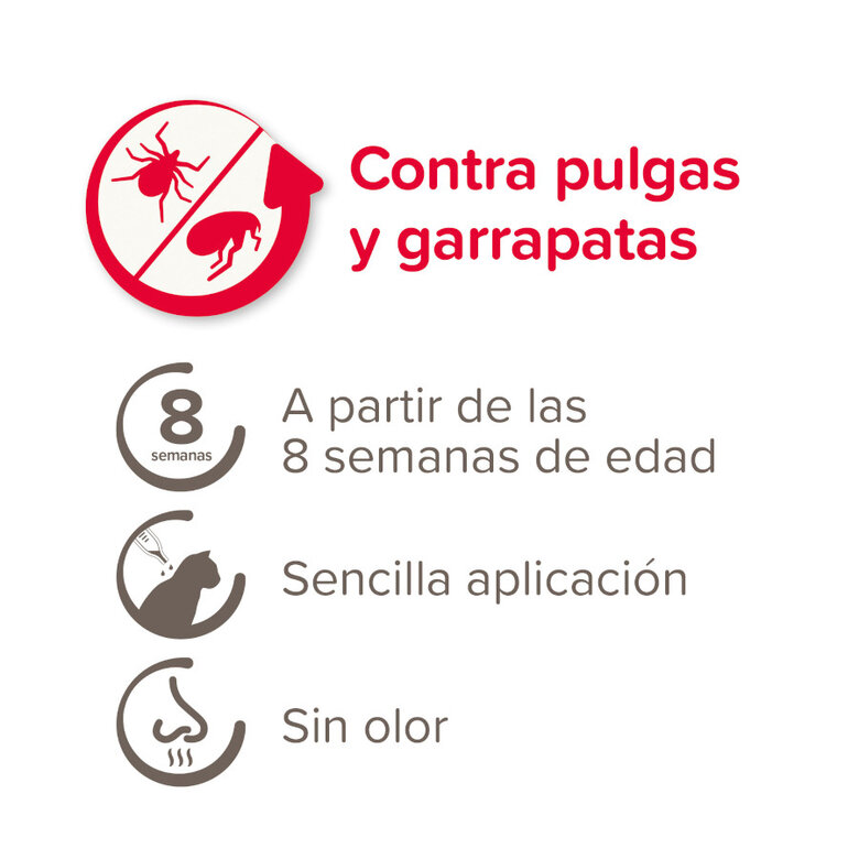 Beaphar Fiprotec Pipetas Antiparasitarias para gatos, , large image number null