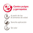 Beaphar Fiprotec Pipetas Antiparasitarias para gatos, , large image number null