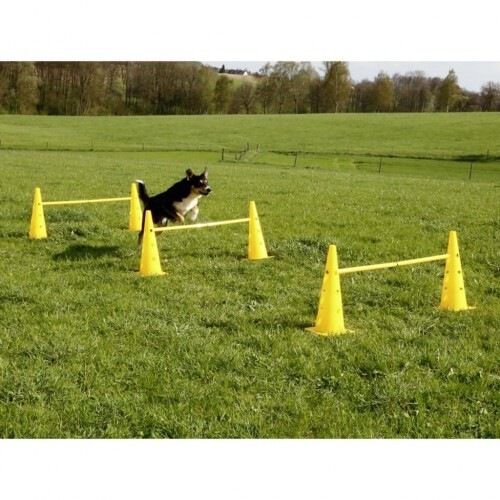 Equipo de agility para perros color Amarillo, , large Imagen numero 4