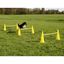 Equipo de agility para perros color Amarillo, , large indicador imagen numero 4