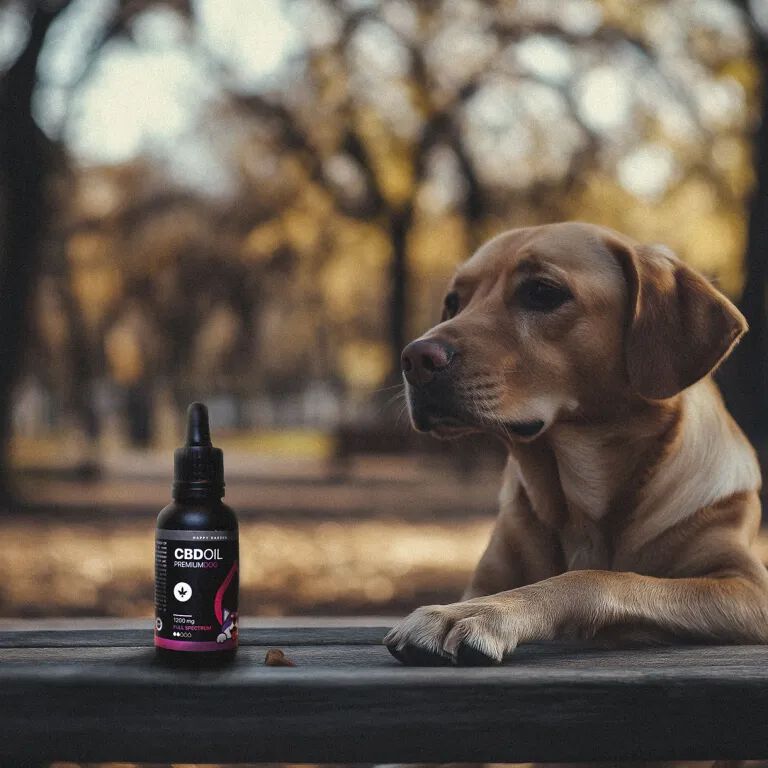 Aceite de CBD para Perros | Espectro Completo, , large Imagen numero 2
