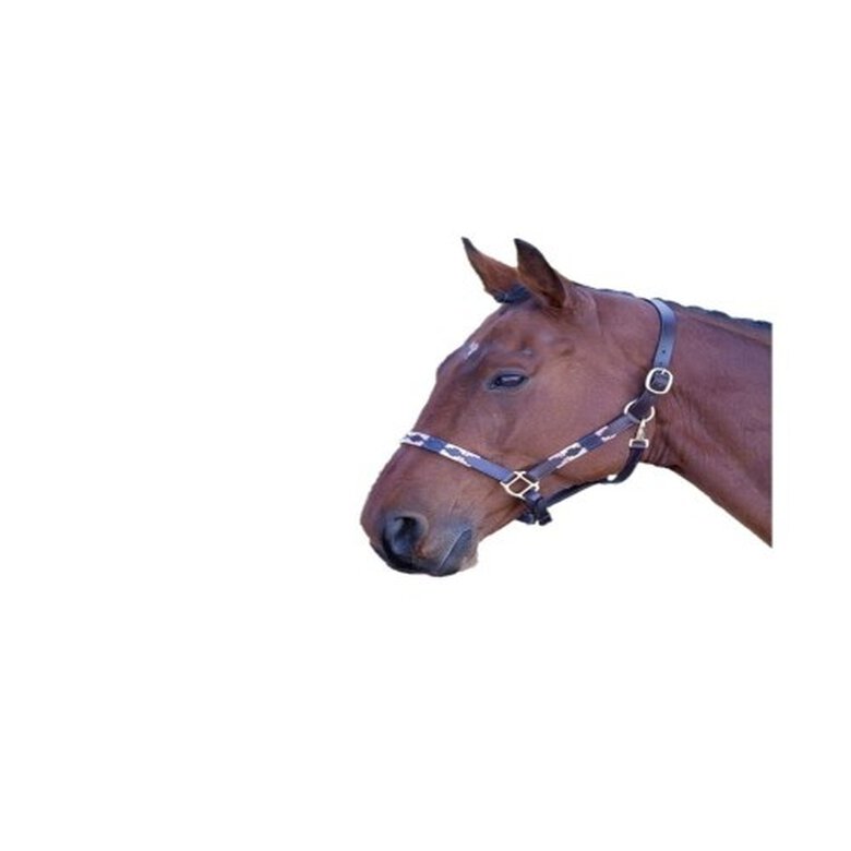 Blenheim Cabezada de Cuero Multicolor para caballos, , large image number null