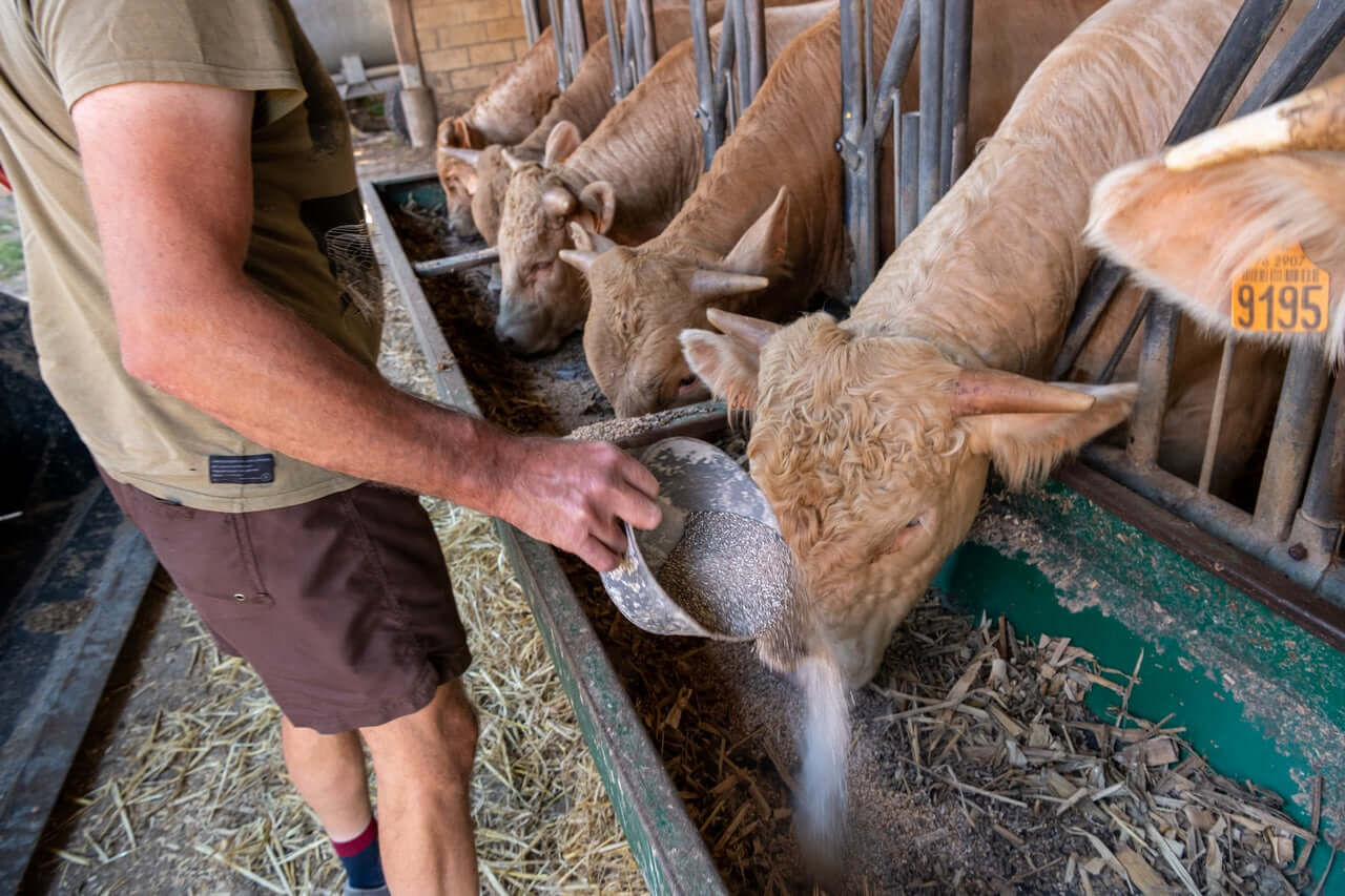 Bentonita Calcica Alimentacion / Saco 25 kg / Harina, , large Imagen numero 3