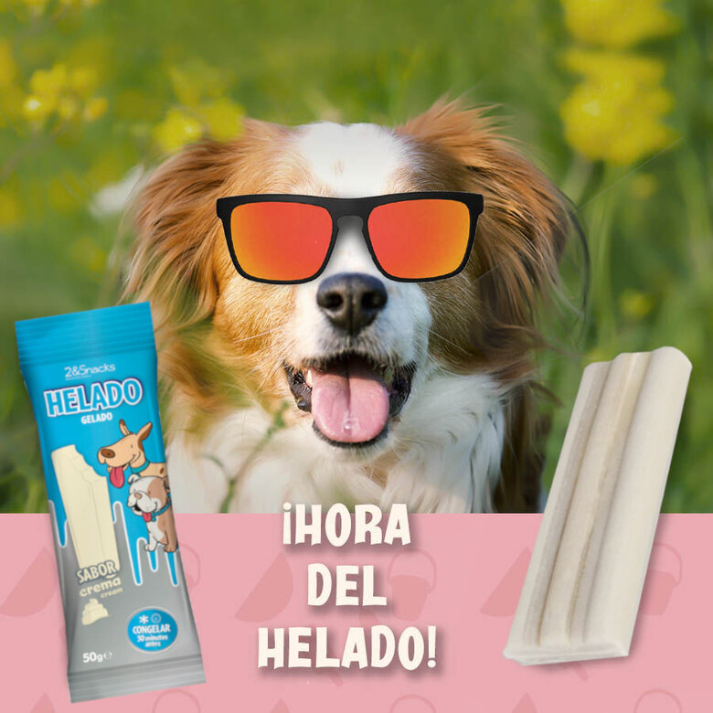 2&Snacks Helado de Crema para perros, , large image number null