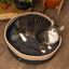 Cama Para Gatos, , large indicador imagen numero 4