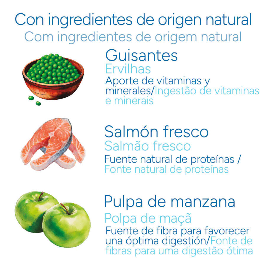 Criadores Cient&iacute;fico Sensitive Adulto Medium-Maxi Pienso Salm&oacute;n para perros, , large Imagen numero 5