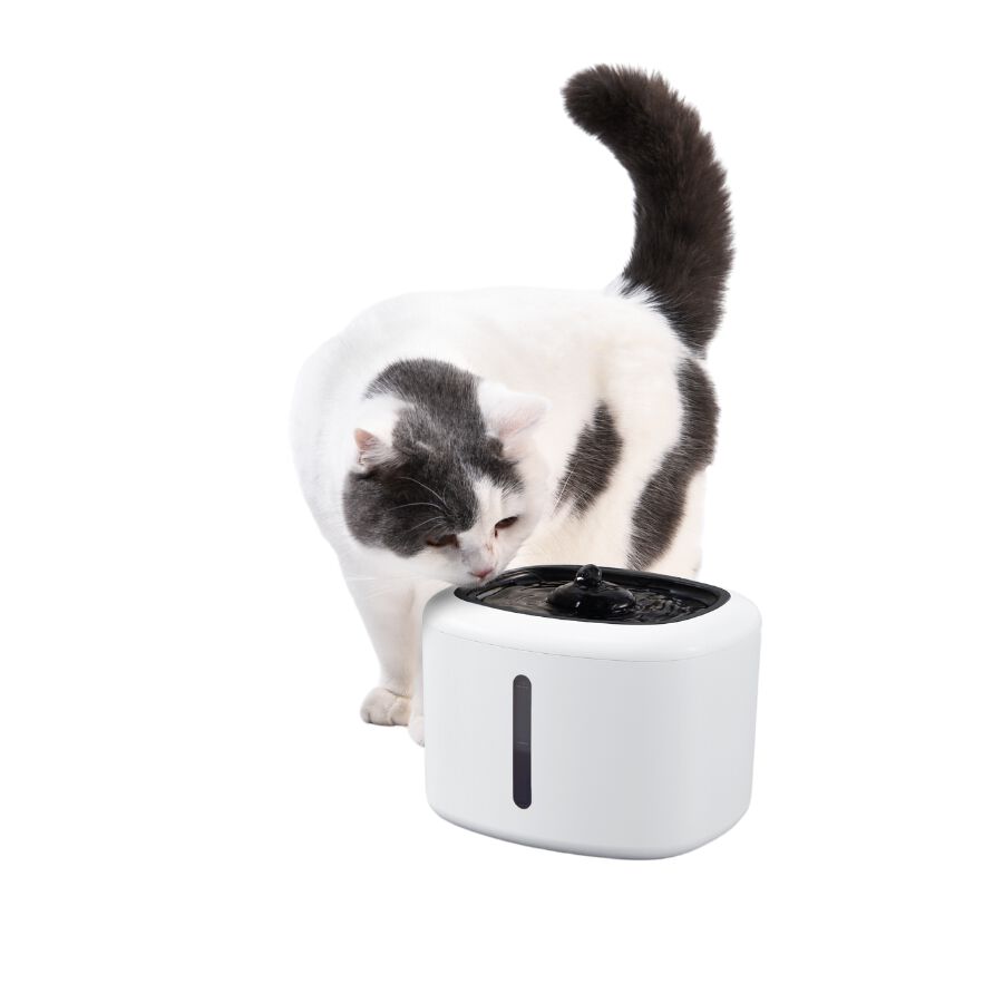 Wuapu Fuente de Agua Blanca para mascotas thumbnail