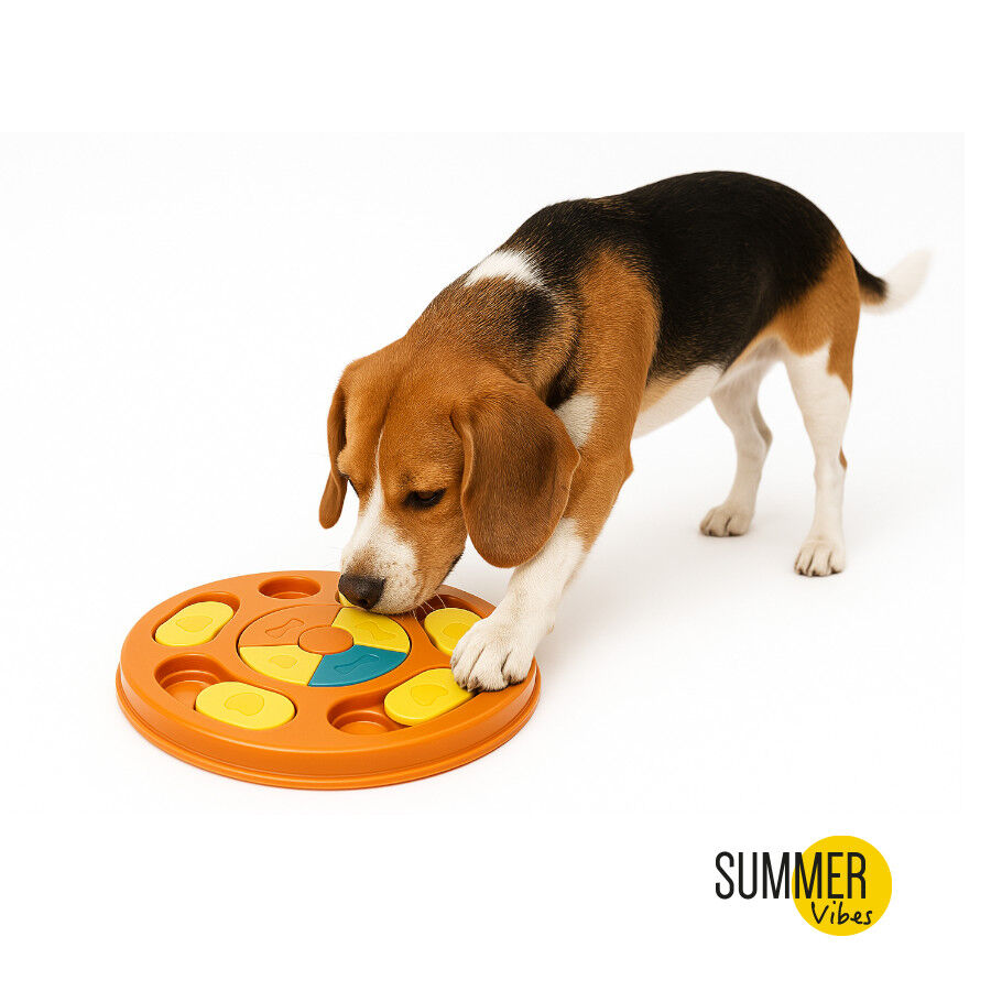 Summer Vibes Juguete Interactivo para perros thumbnail