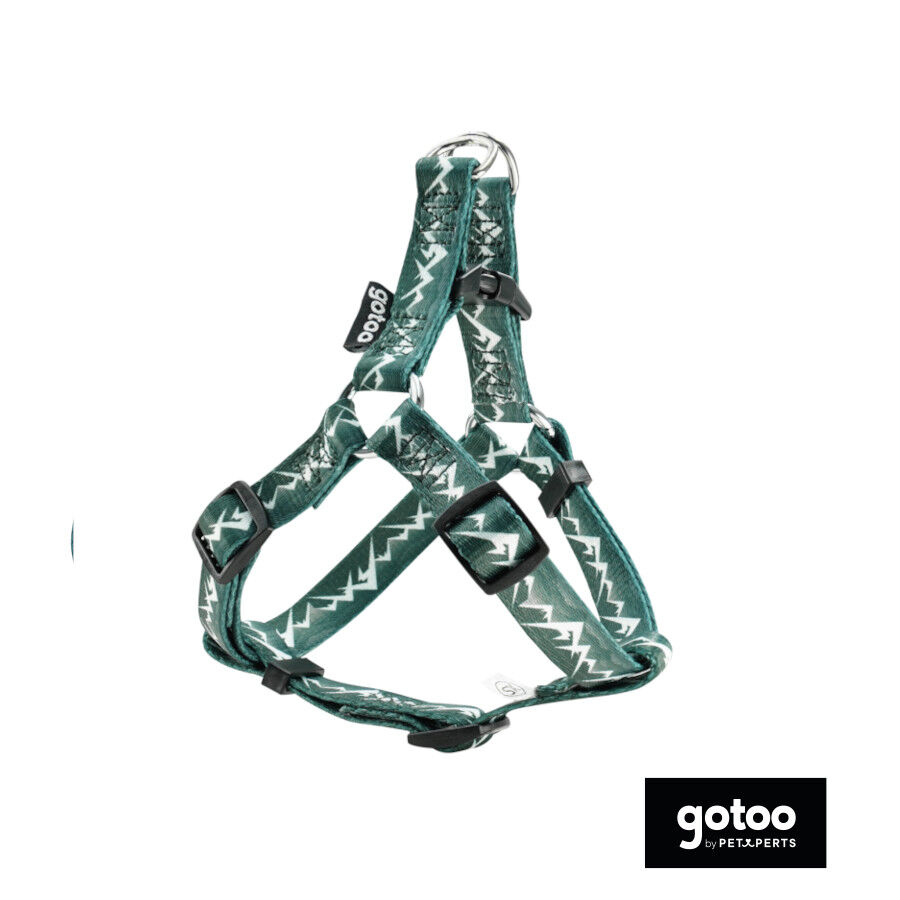 Gotoo Arn&eacute;s estampado verde para perros, , large Imagen numero 2