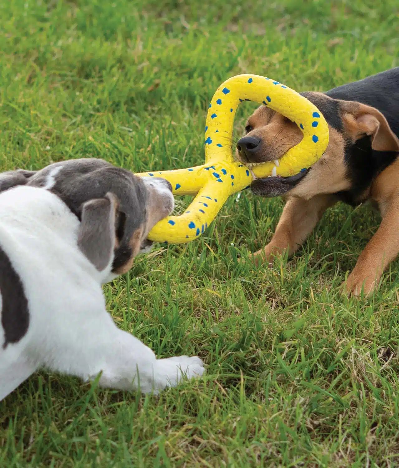 Zeus Nitro&trade; Tugger, 22cm, , large Imagen numero 3