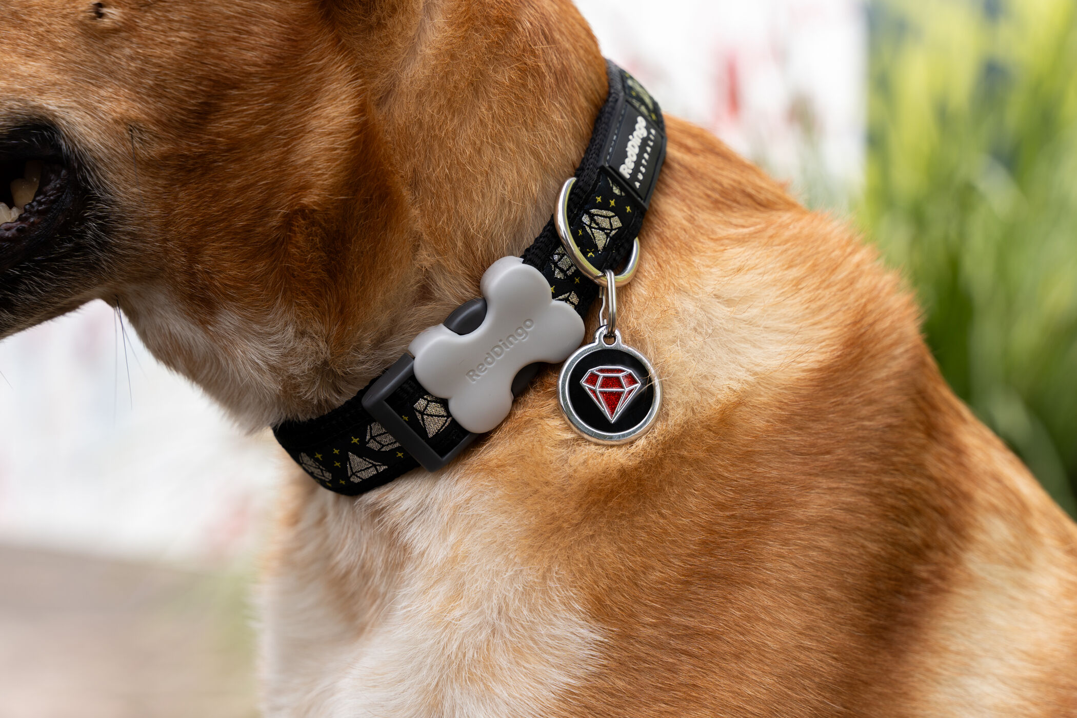 Placa identificativa Purpurina Rub&iacute; Negro para perros, , large Imagen numero 2