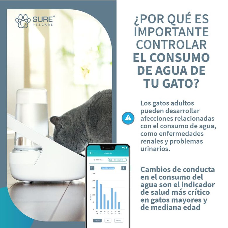 Sure Petcare Felaqua Connect Bebedero Automático para gatos image number null