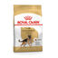 15 kg Royal Canin Digestive Pienso para pastor al&eacute;man, , large indicador imagen numero 1