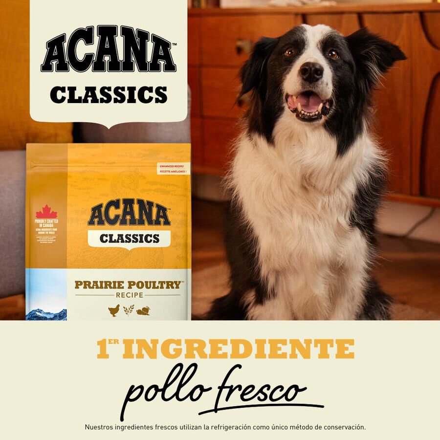 Acana Classics Prairie Poultry pienso para perros thumbnail