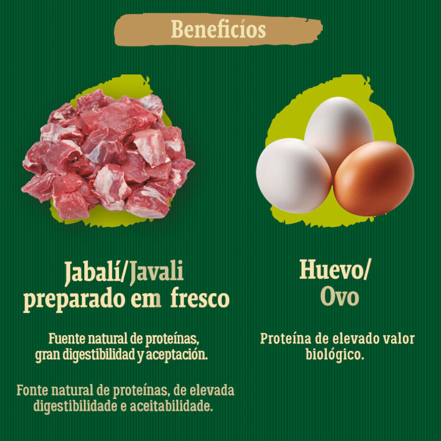 12 kg True Origins Wild Greenlands pienso para perros, , large Imagen numero 5