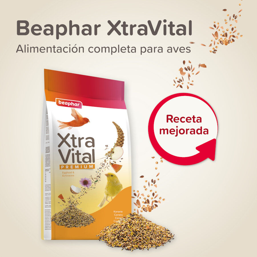 Beaphar XtraVital Premium Canarios alimento para pájaros thumbnail