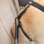 Amarre cinturón de seguridad para perros color Azul, , large image number null