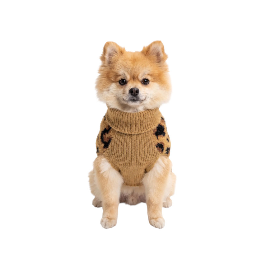 Gotoo Jersey Punto Estampado Leopardo para perros, , large Imagen numero 7
