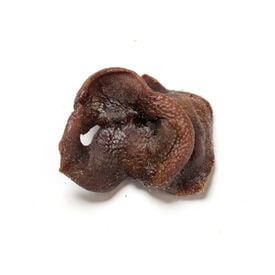 Nutriment Barrita Morrito Cerdo Snack para perros