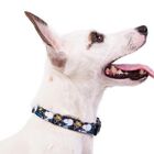 Collar para perro Snoopy color azul, , large image number null