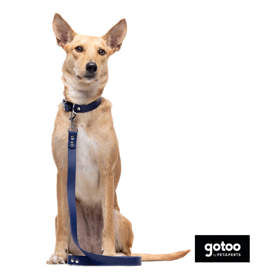 Gotoo Collar Biothane azul para perros, , large Imagen numero 9