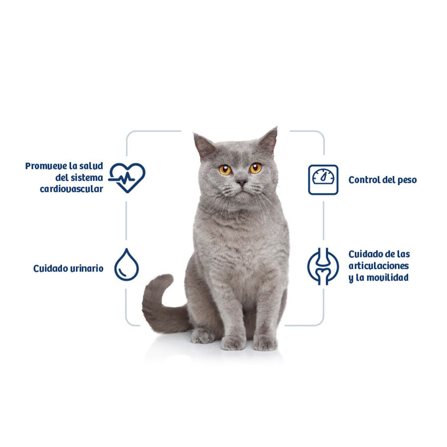 Nath Adult Sterilised Pollo y Arroz pienso para gatos thumbnail