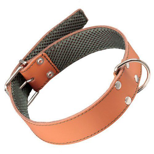 Arppe cuero cosido natural collar para perros Imagen numero 1