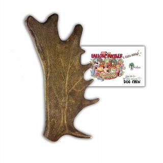 Bimordisco mordedor de asta de gamo 100% natural, Bimordisco mordedor de asta de gamo 100% natural