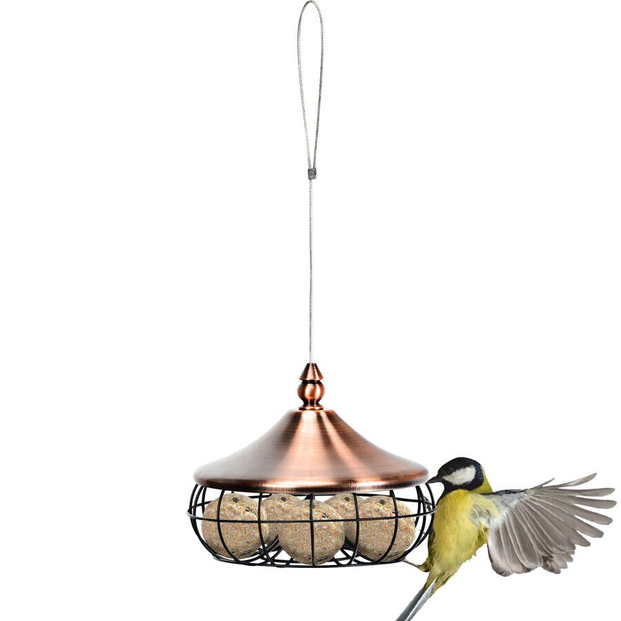COSTWAY Comedero Colgar para Pájaros con Alambre de Acero Inoxidable para aves