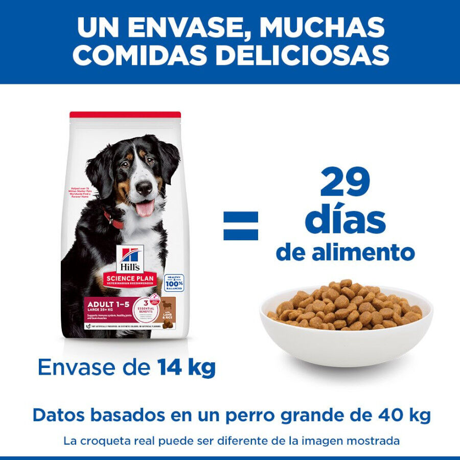 2 x 14 kg Hill's Science Plan Adult Large Cordero pienso para perros &iexcl;Pack ahorro!, , large Imagen numero 6