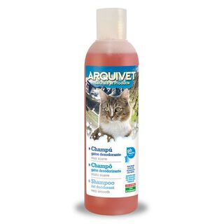 Champú para gatos olor Neutro