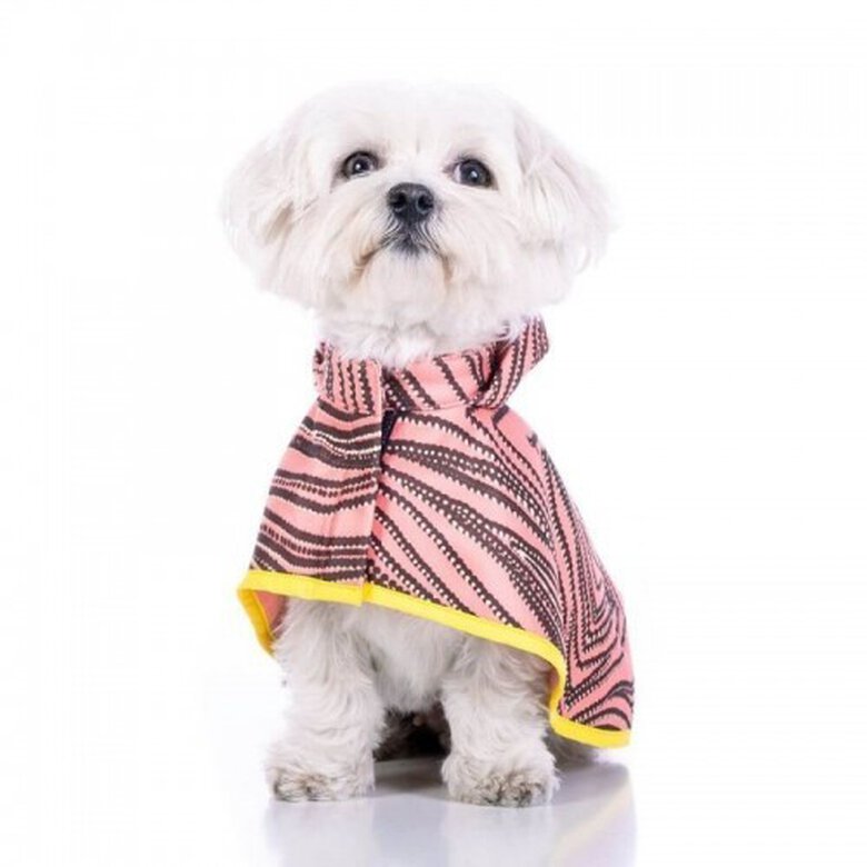 Capa de lluvia Lola Softshell para perros color Rosa, , large image number null